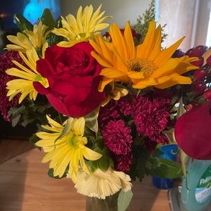 Meet your Posher, Nancy